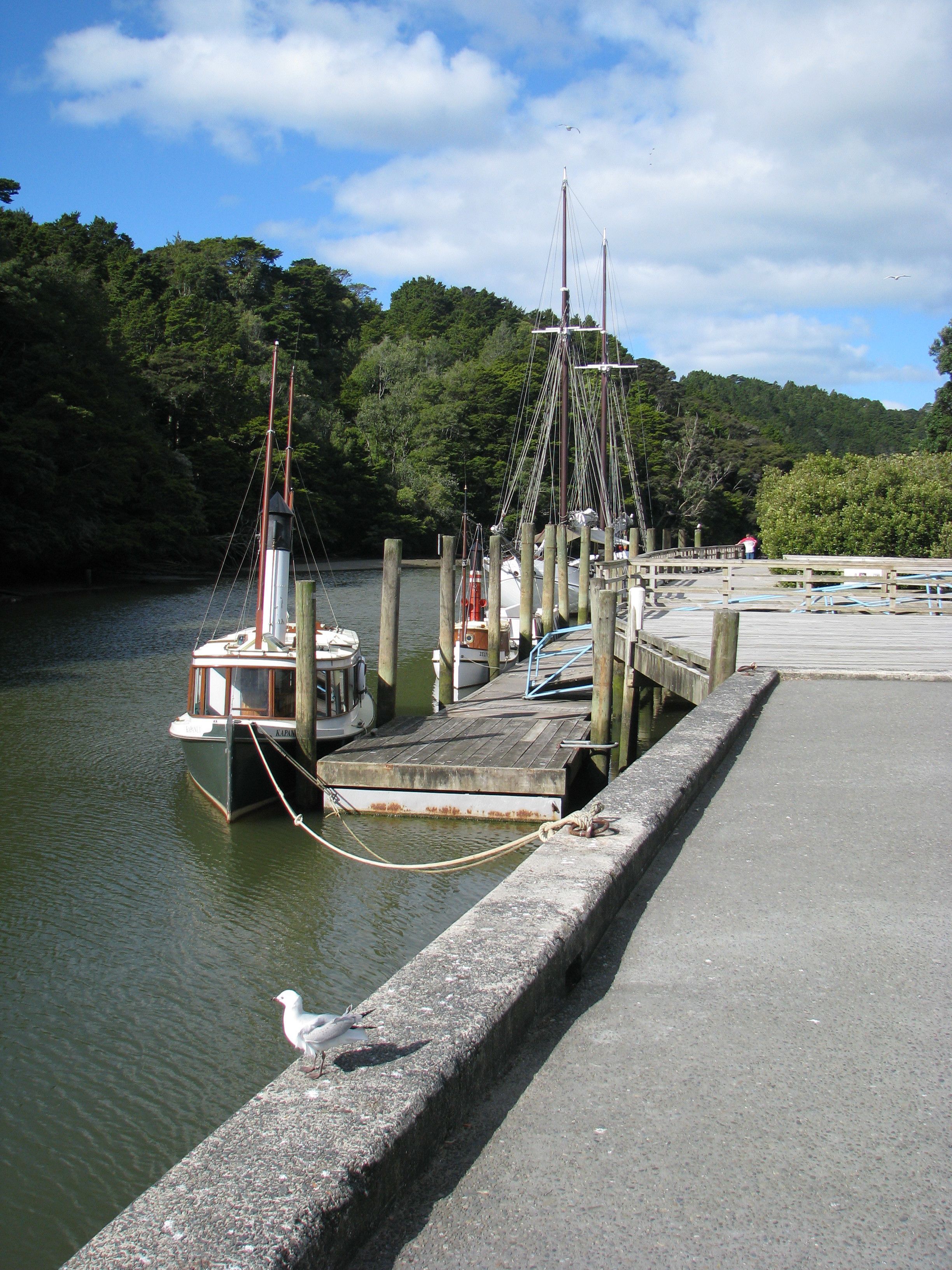 Un muelle con un barco amarrado, rodeado de agua y vegetación.