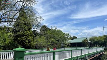A green bridge with white railings, surrounded by lush greenery and trees.
