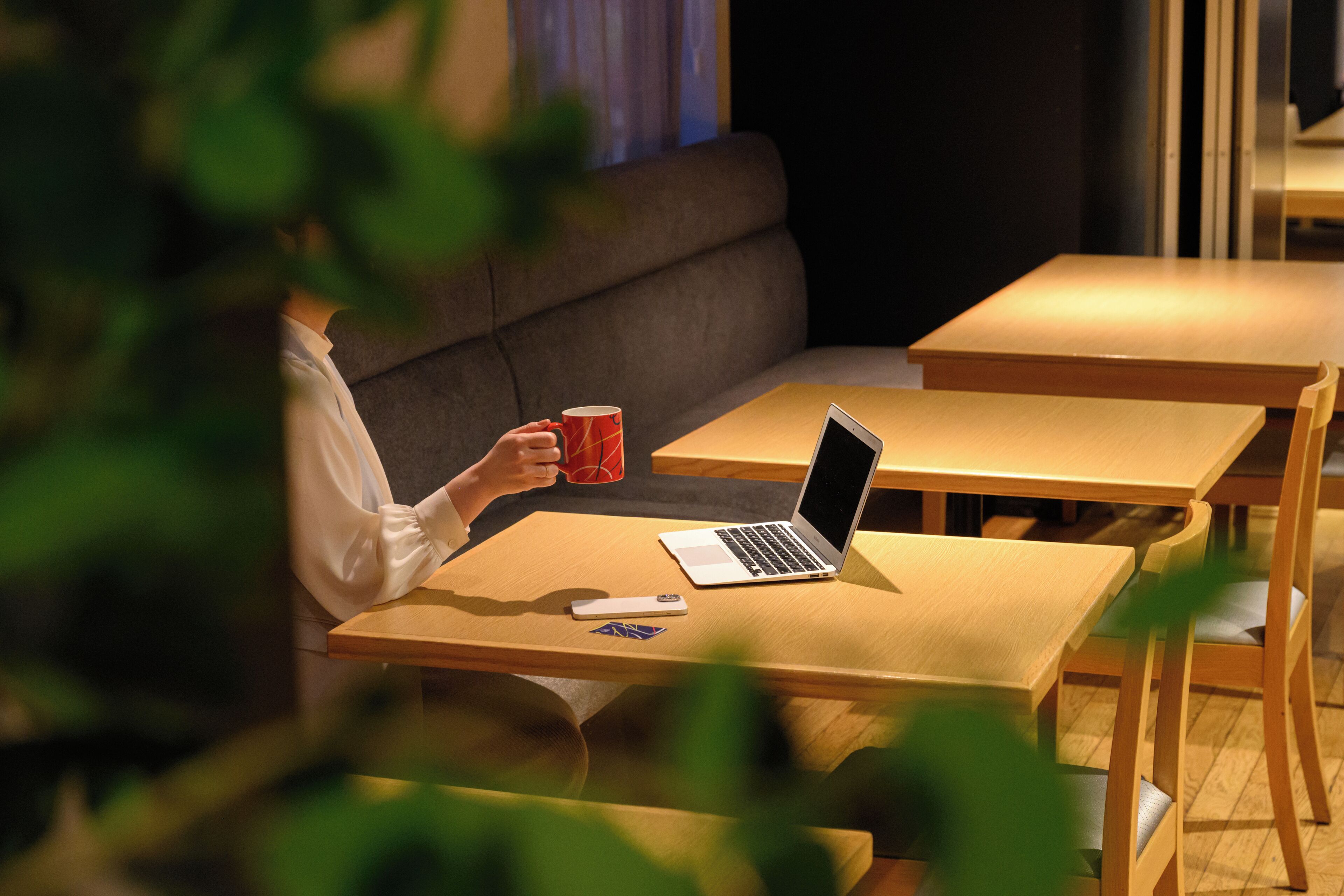 供应午餐和晚餐