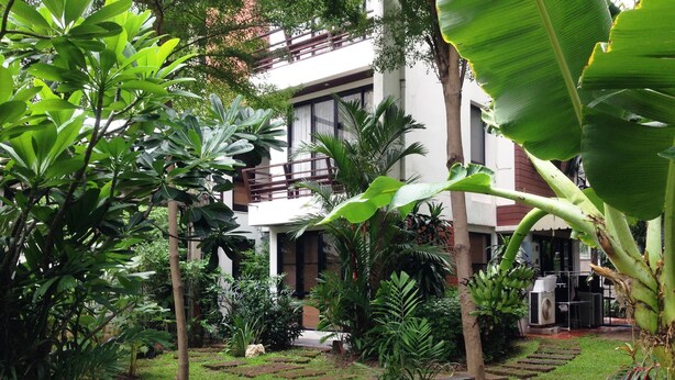 A lush garden with a variety of plants and a modern building in the background. - PT Court (Bangkok)