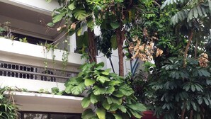 A building with multiple balconies, surrounded by lush greenery and various plants. - PT Court (Bangkok)