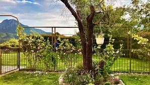 Puutarha, jossa on puu, metalliaita ja taustalla vuori.