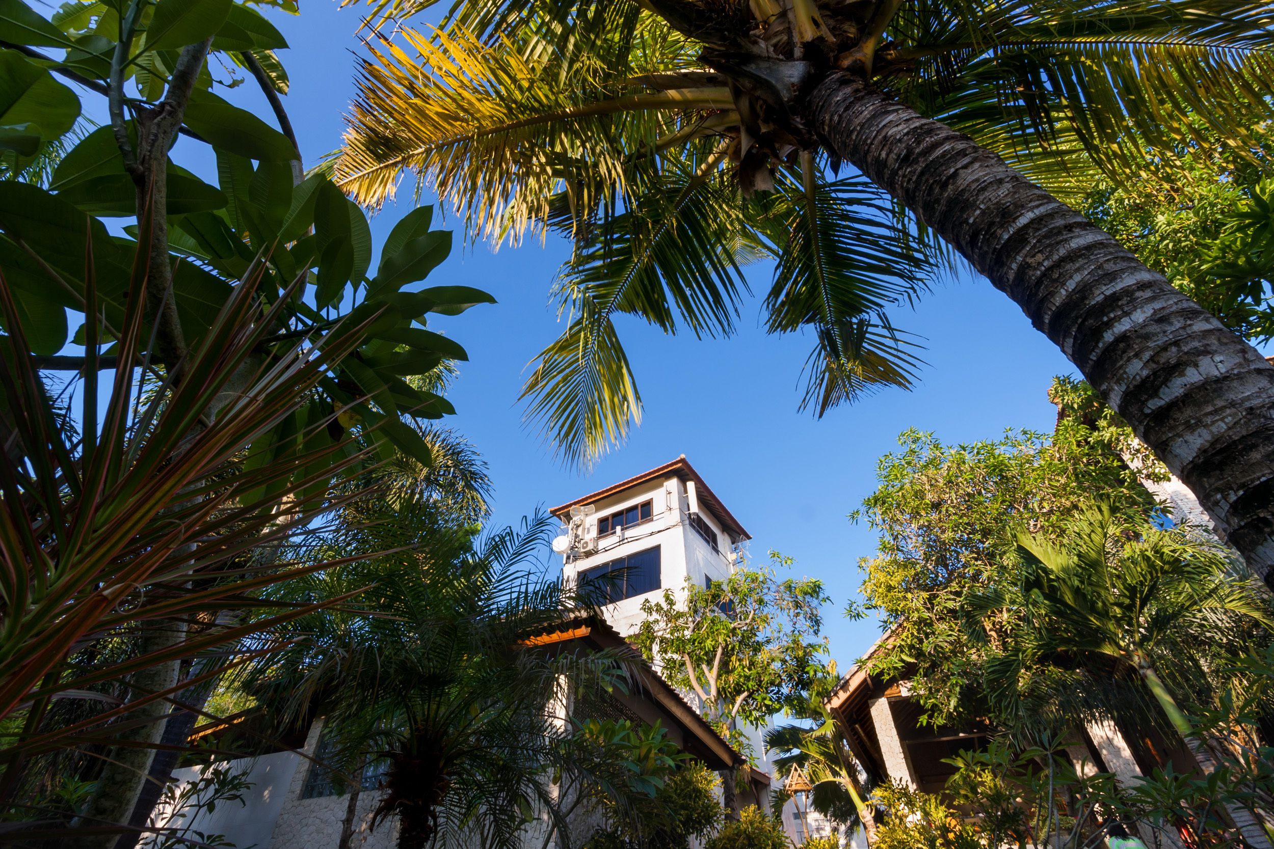 Vista da propriedade