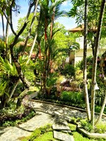 Deluxe Garden | Garden view