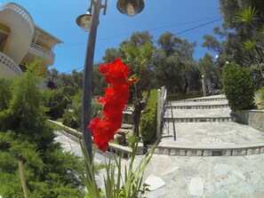 Detalle del exterior