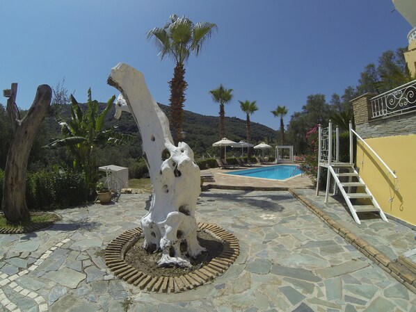 Detalle del exterior