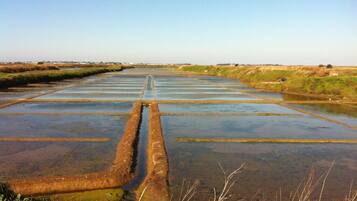 A large, open water management area with multiple rectangular sections and a central drainage channel.