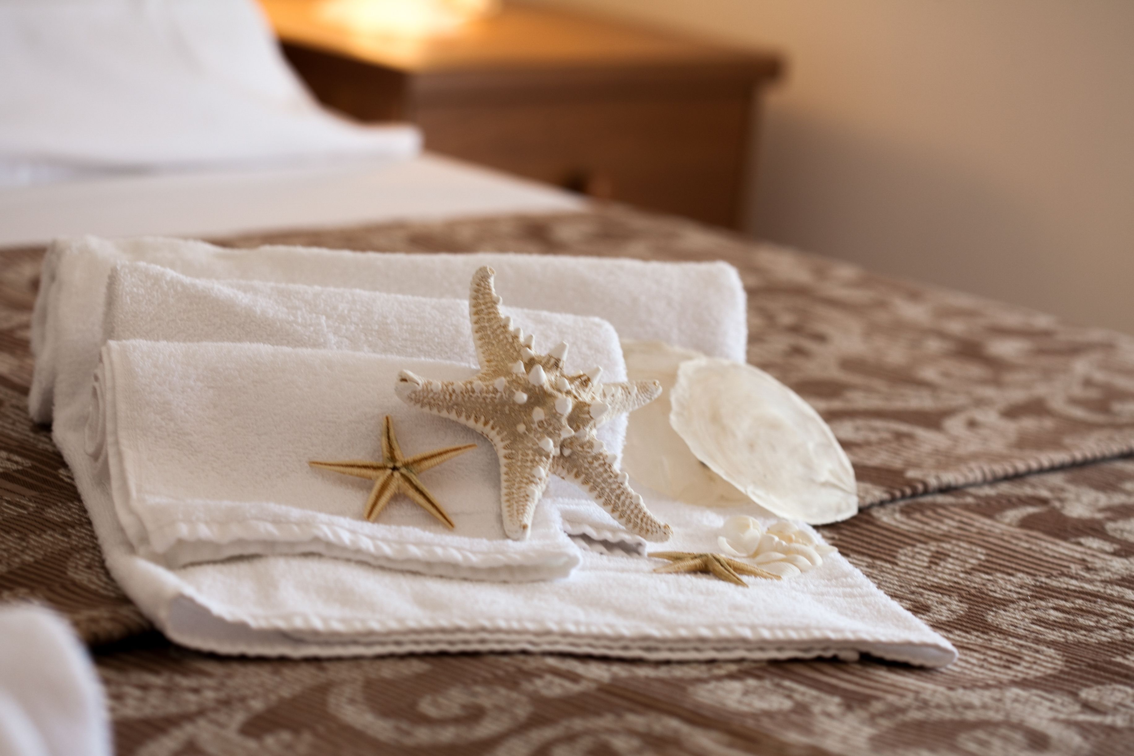 Foto - Hotel Umberto