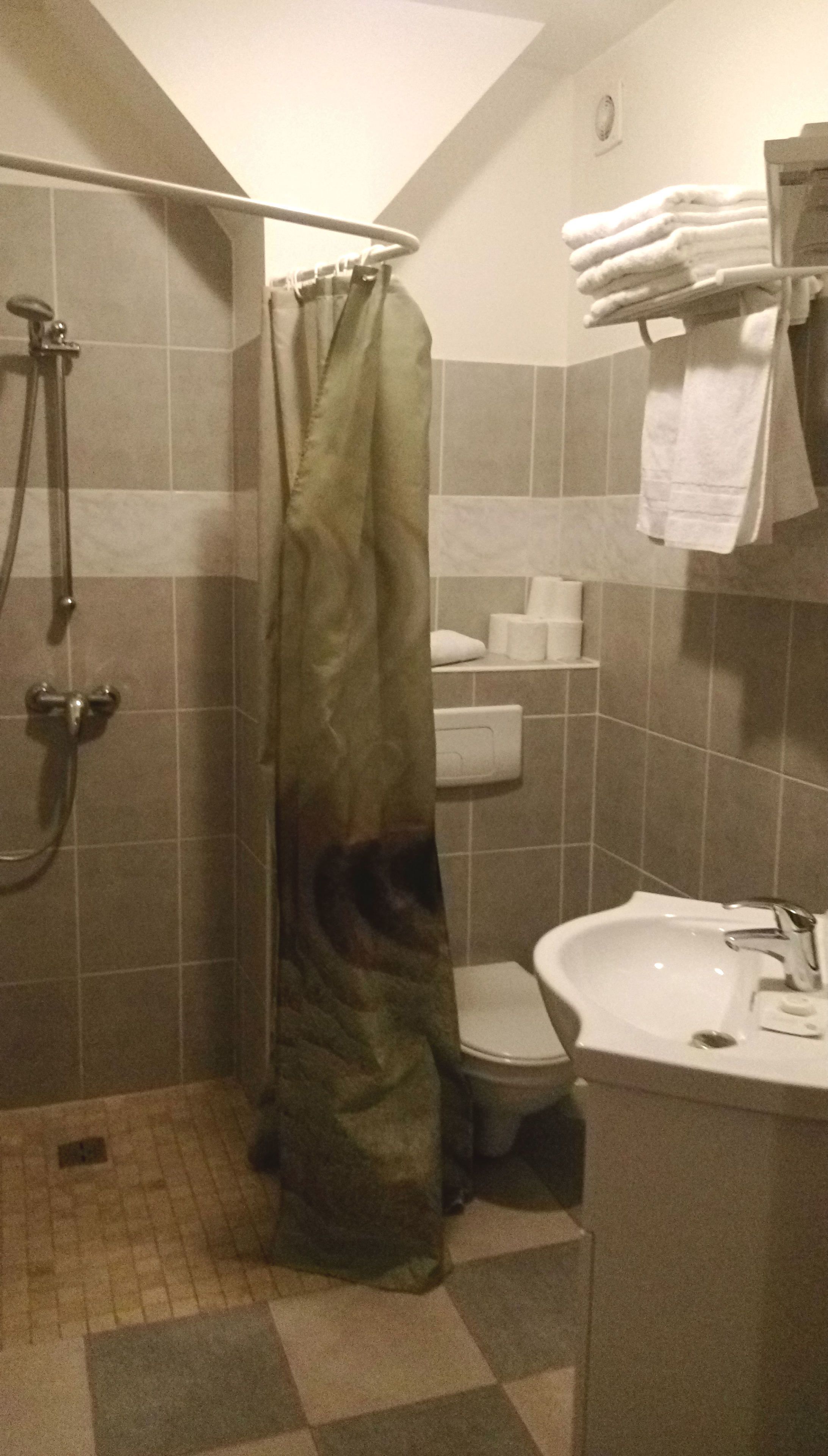 A bathroom with a shower, toilet, and sink.