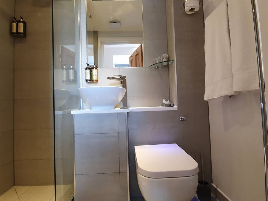 A modern bathroom with a glass shower enclosure, a white sink, and a toilet.