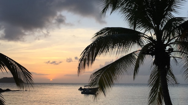 Une scène de plage avec des palmiers, un bateau et un coucher de soleil.