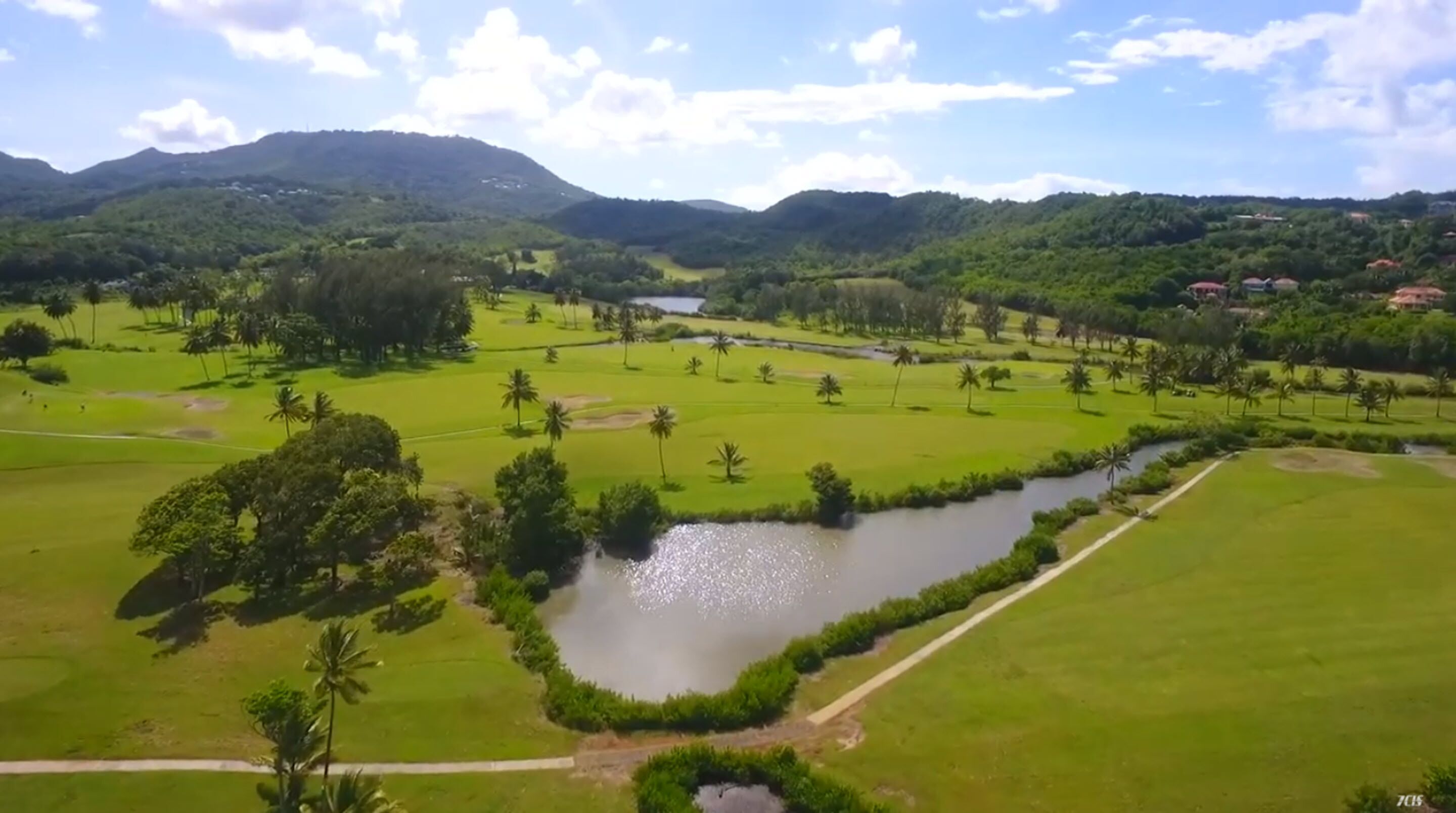Ein Golfplatz mit Fluss, Palmen und Bergen in der Ferne.