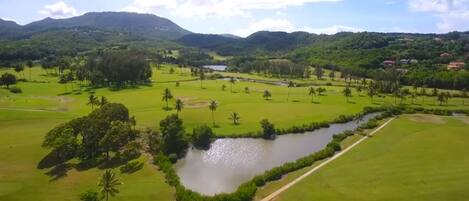 Un campo de golf con un río, palmeras y montañas al fondo.