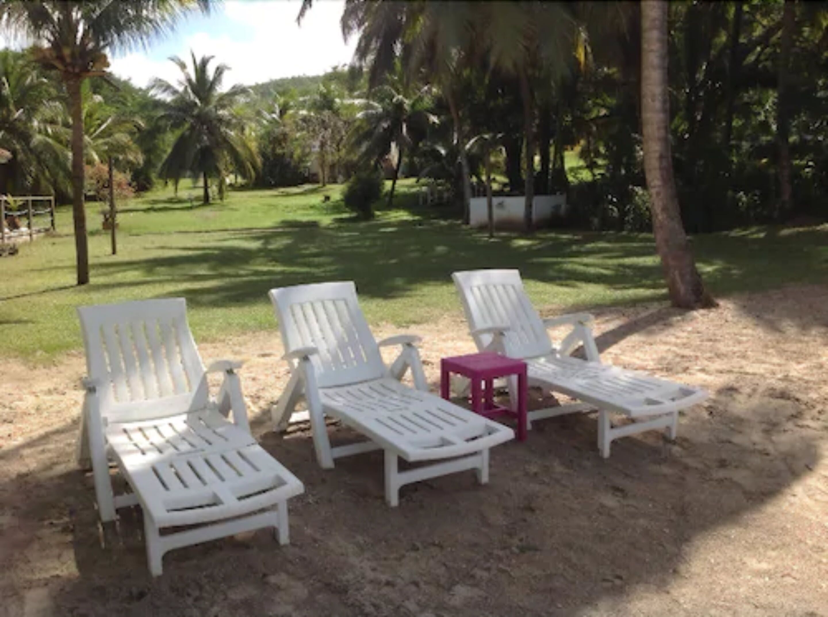 A sandy area with four white lounge chairs and a small pink table, surrounded by palm trees and greenery.