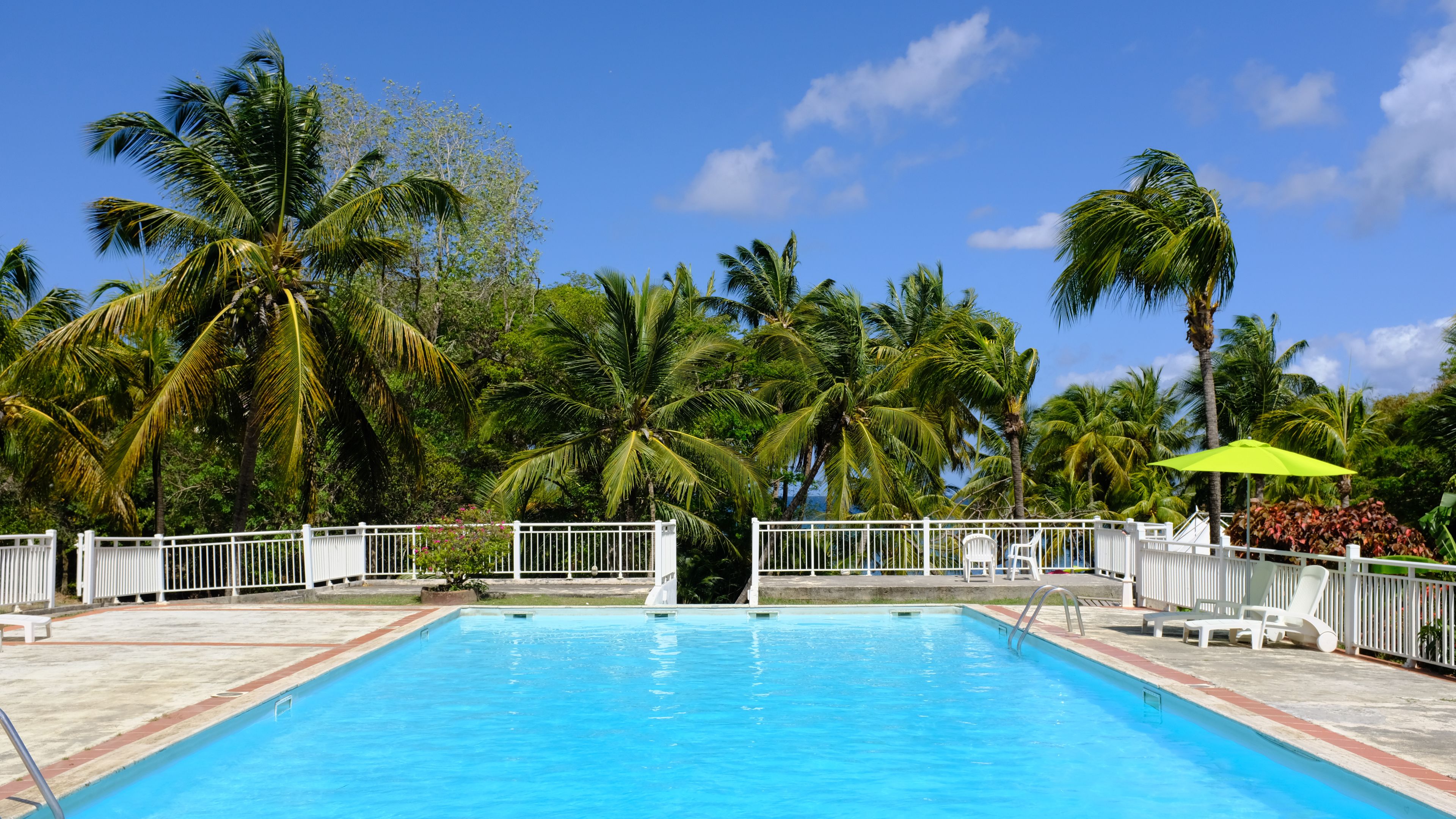 Ein Swimmingpool mit weißem Zaun, umgeben von Palmen und einem strahlend blauen Himmel.