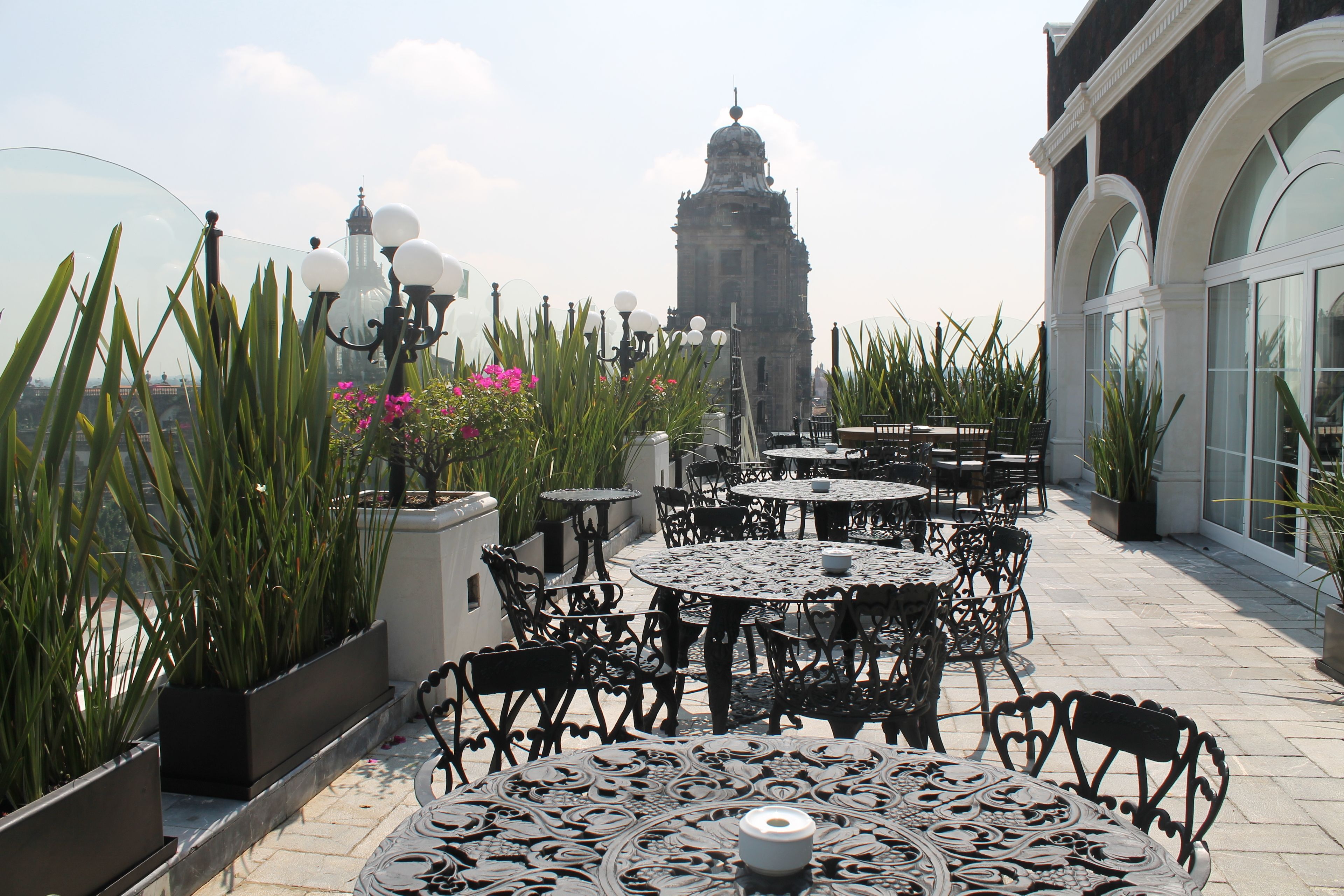 Un patio al aire libre con mesas y sillas, rodeado de plantas y flores en macetas.