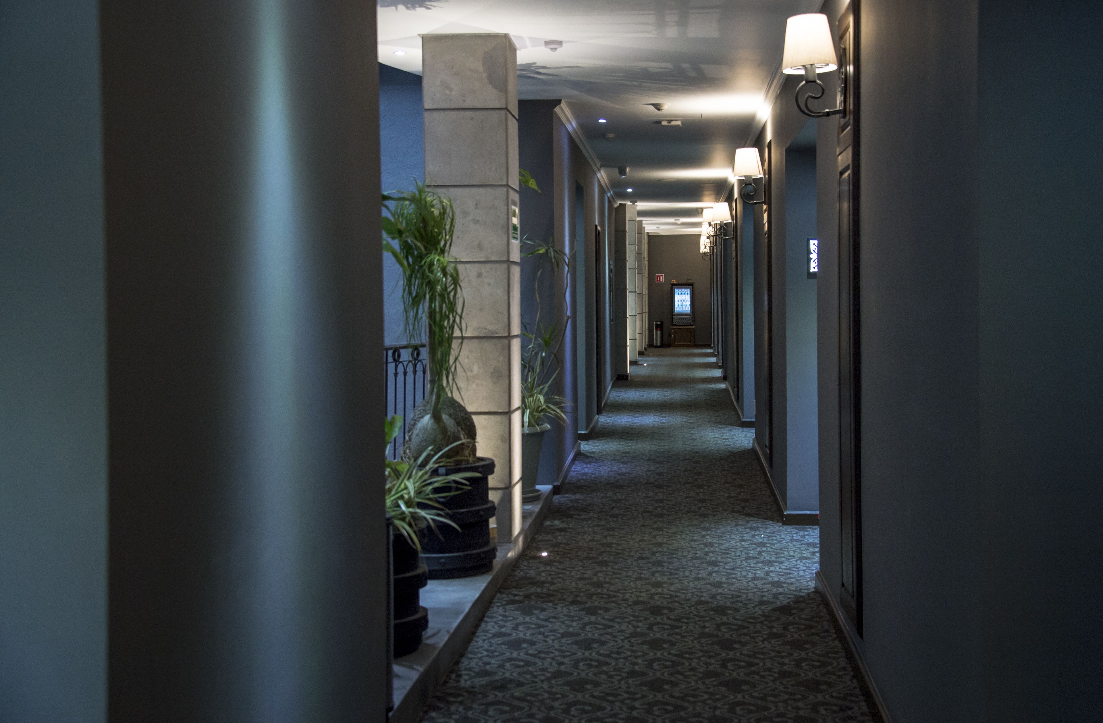 Un corridoio di un hotel con pavimento in moquette, piante in vaso e luci a parete.