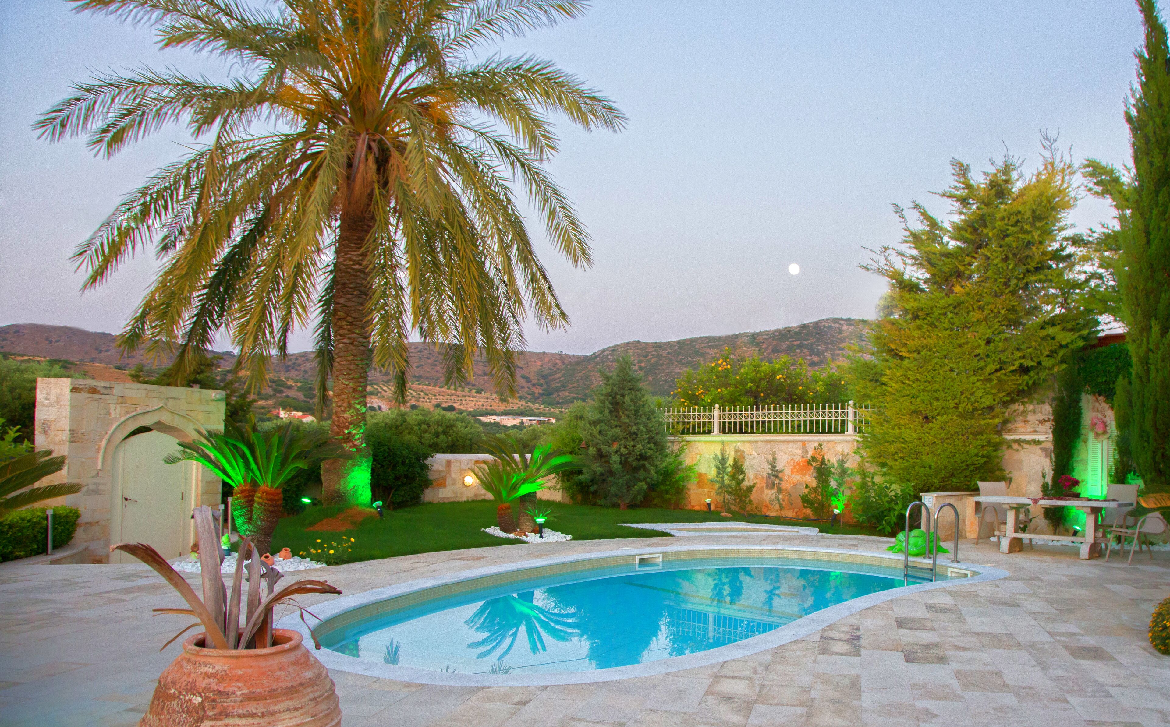 A swimming pool with a view of a mountain range, surrounded by palm trees and greenery.