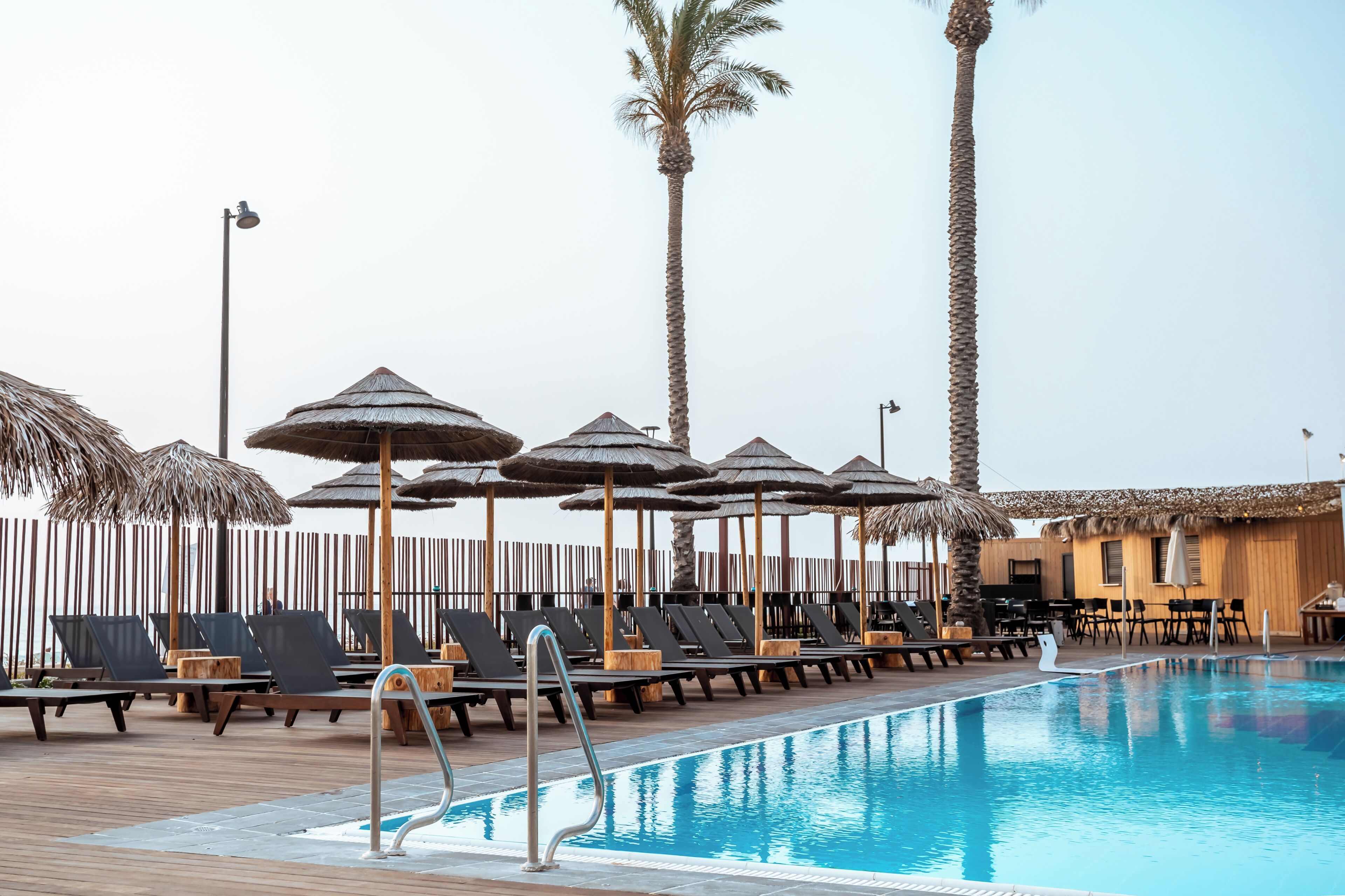 A poolside area with lounge chairs and umbrellas, palm trees, and a wooden fence.