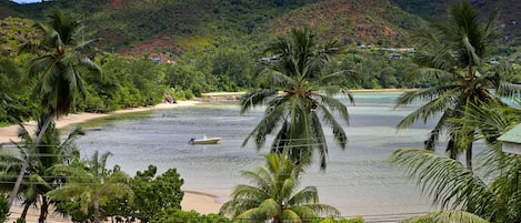 Área da propriedade