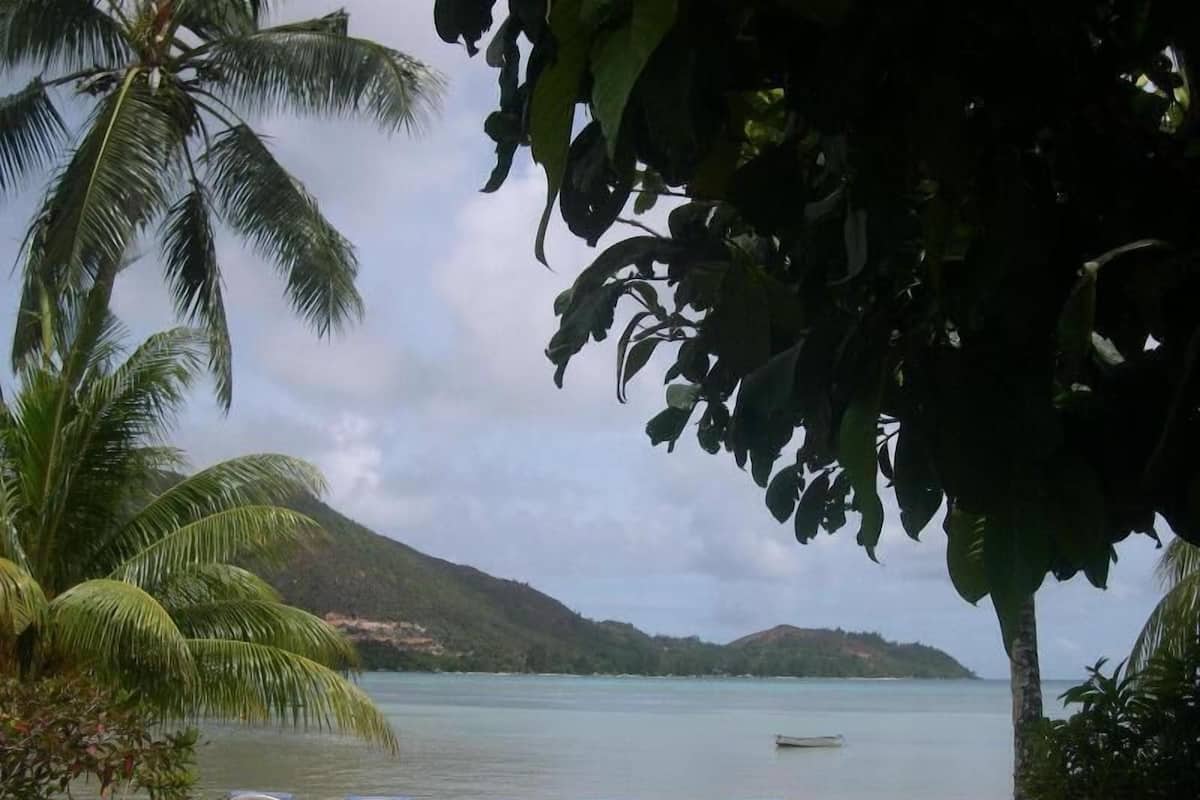 Praia com cadeiras de praia e mar calmo, cercada por palmeiras e colinas.