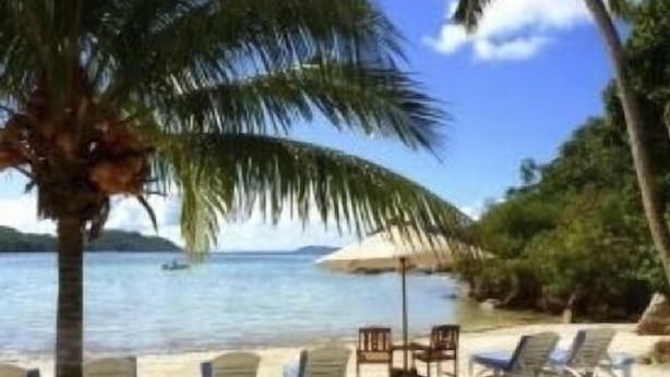 A beach with palm trees, lounge chairs, and a view of the ocean. - Sea View Lodge (Praslin Island)