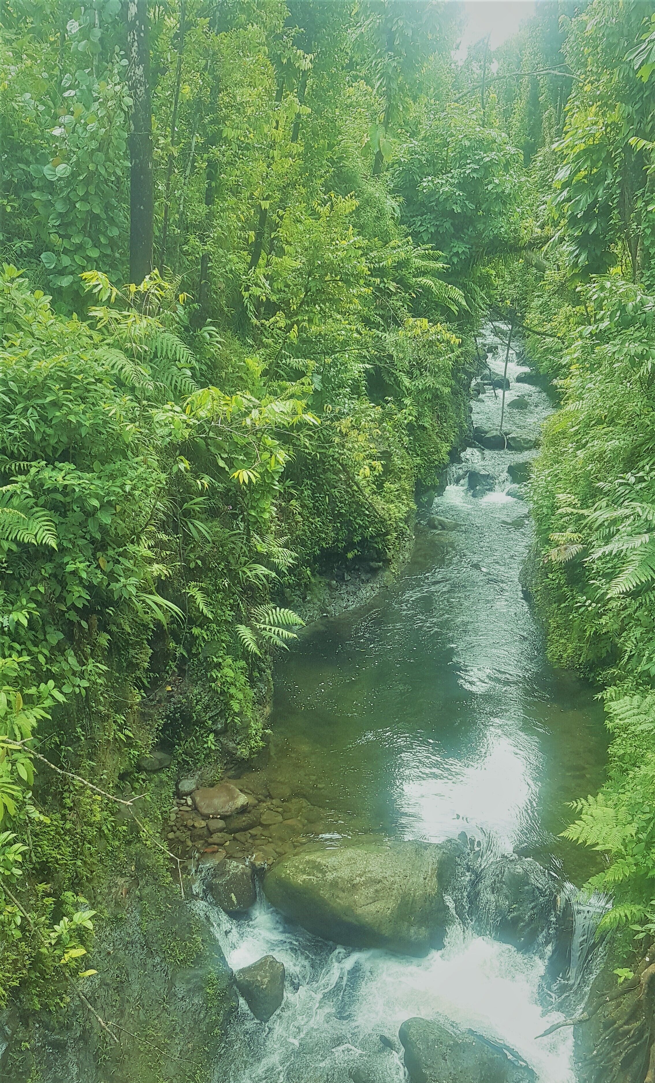 Du lịch sinh thái
