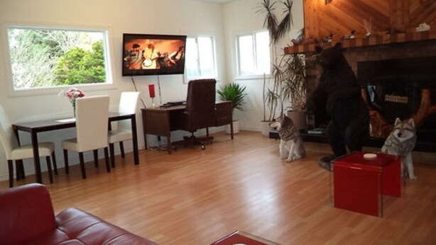 Interior - Enchanted Rainforest Guesthouse (Prince Rupert)