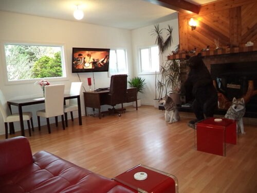 Enchanted Rainforest Guesthouse