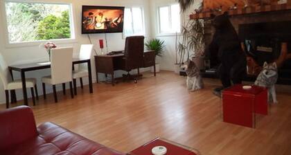 Enchanted Rainforest Guesthouse