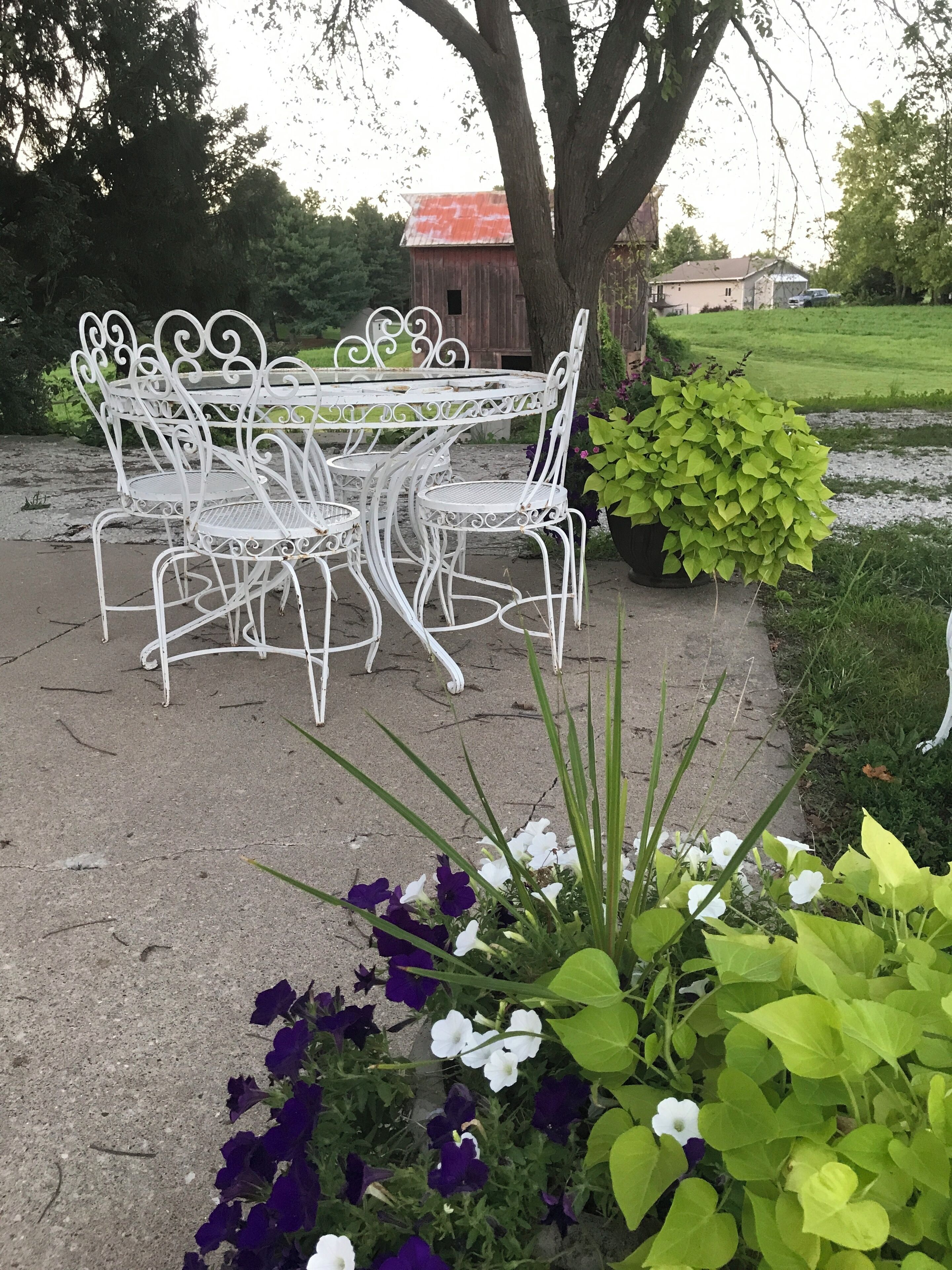 Conjunto de mesa e cadeiras de metal branco em um pátio de concreto, cercado por folhagem verde e flores roxas.