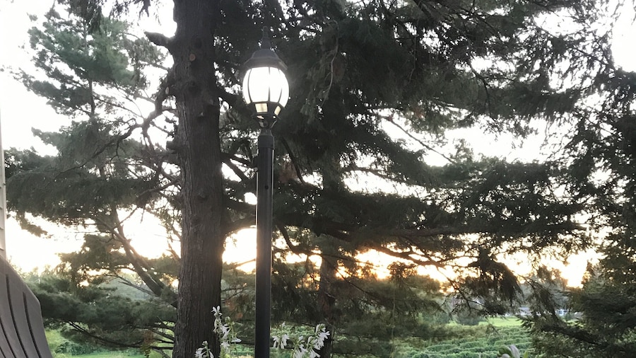 Nauvoo Grand Bed & Breakfast