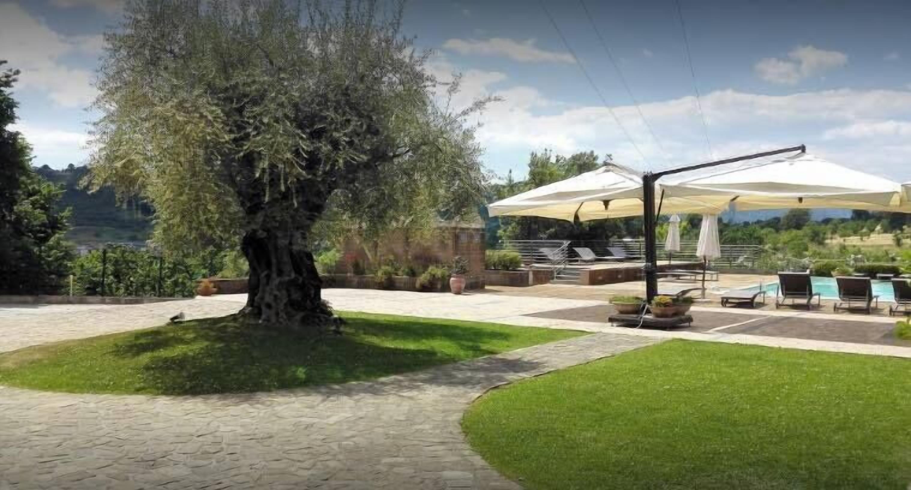 Un patio con un árbol grande, asientos al aire libre y una zona cubierta.