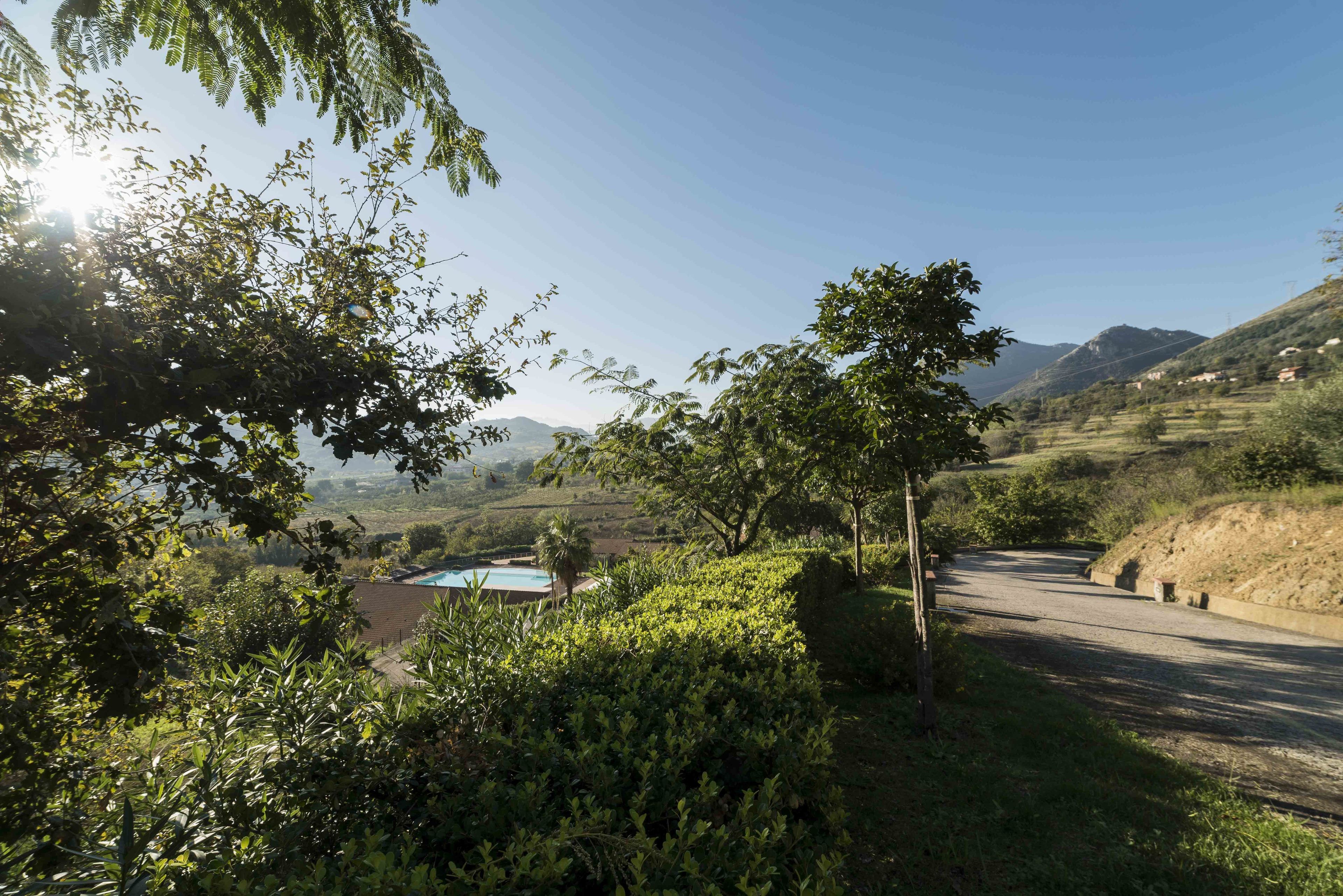 Foto - Tenuta D'Amore