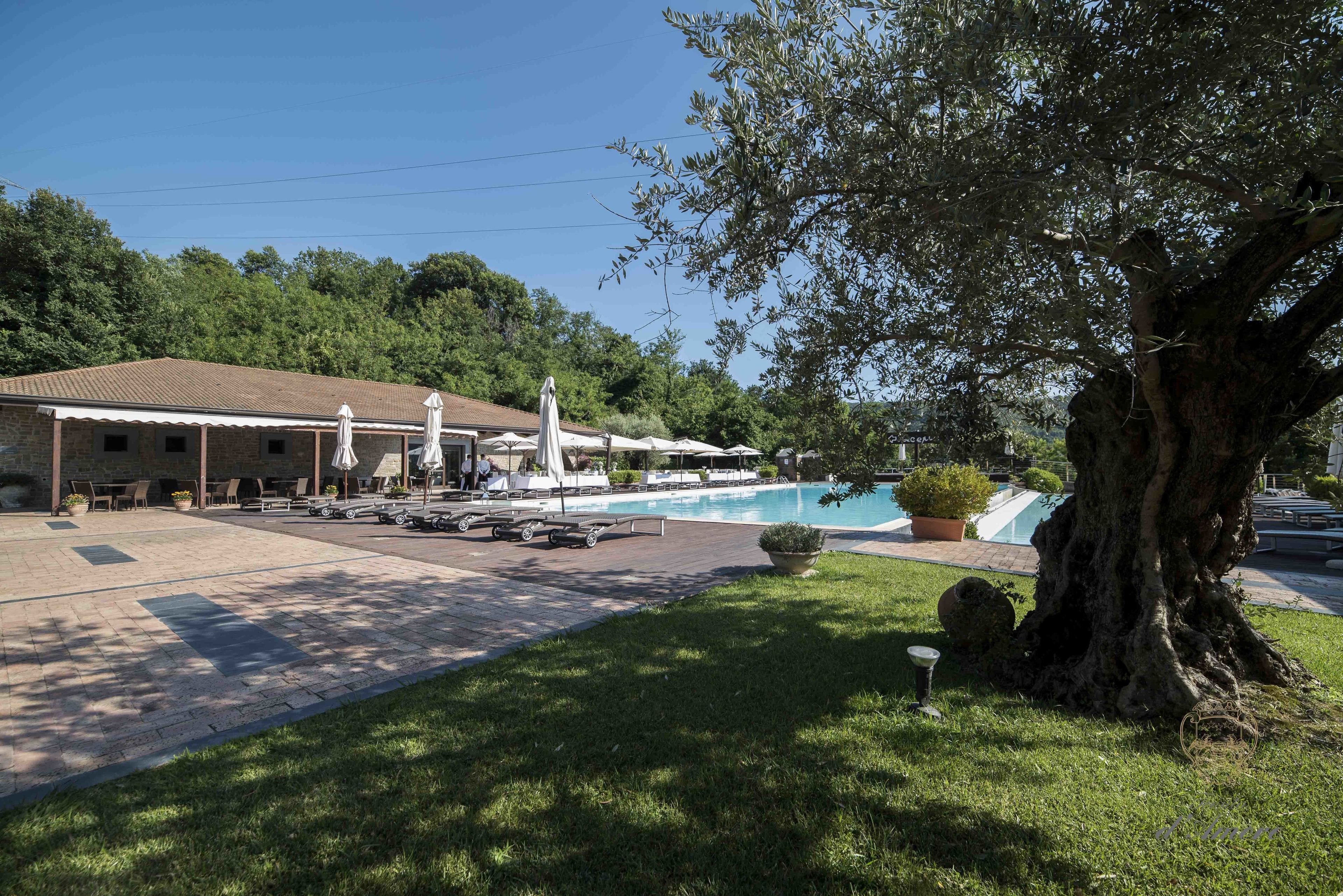 Foto - Tenuta D'Amore