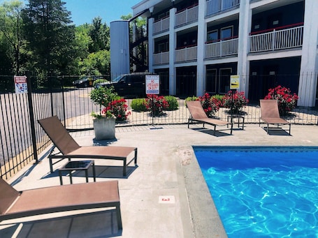Seasonal outdoor pool, sun loungers