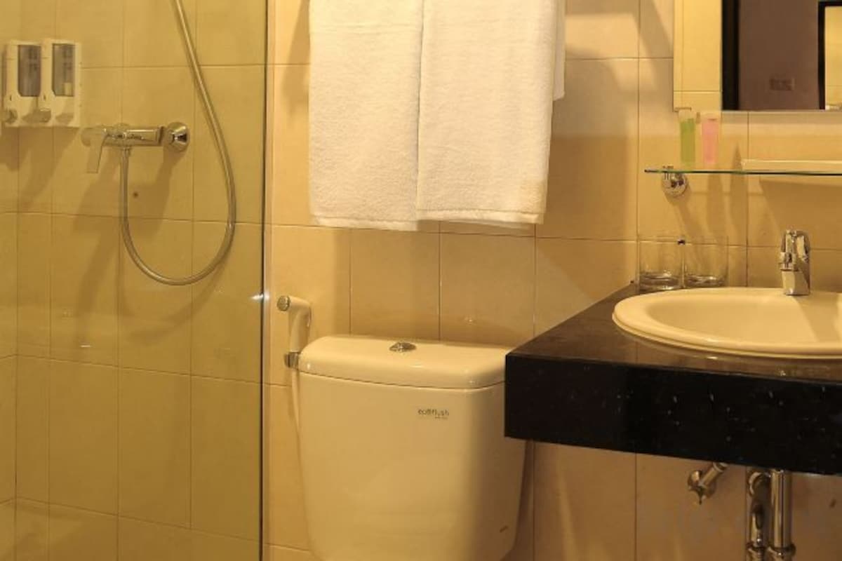 Shower, free toiletries, hair dryer, slippers