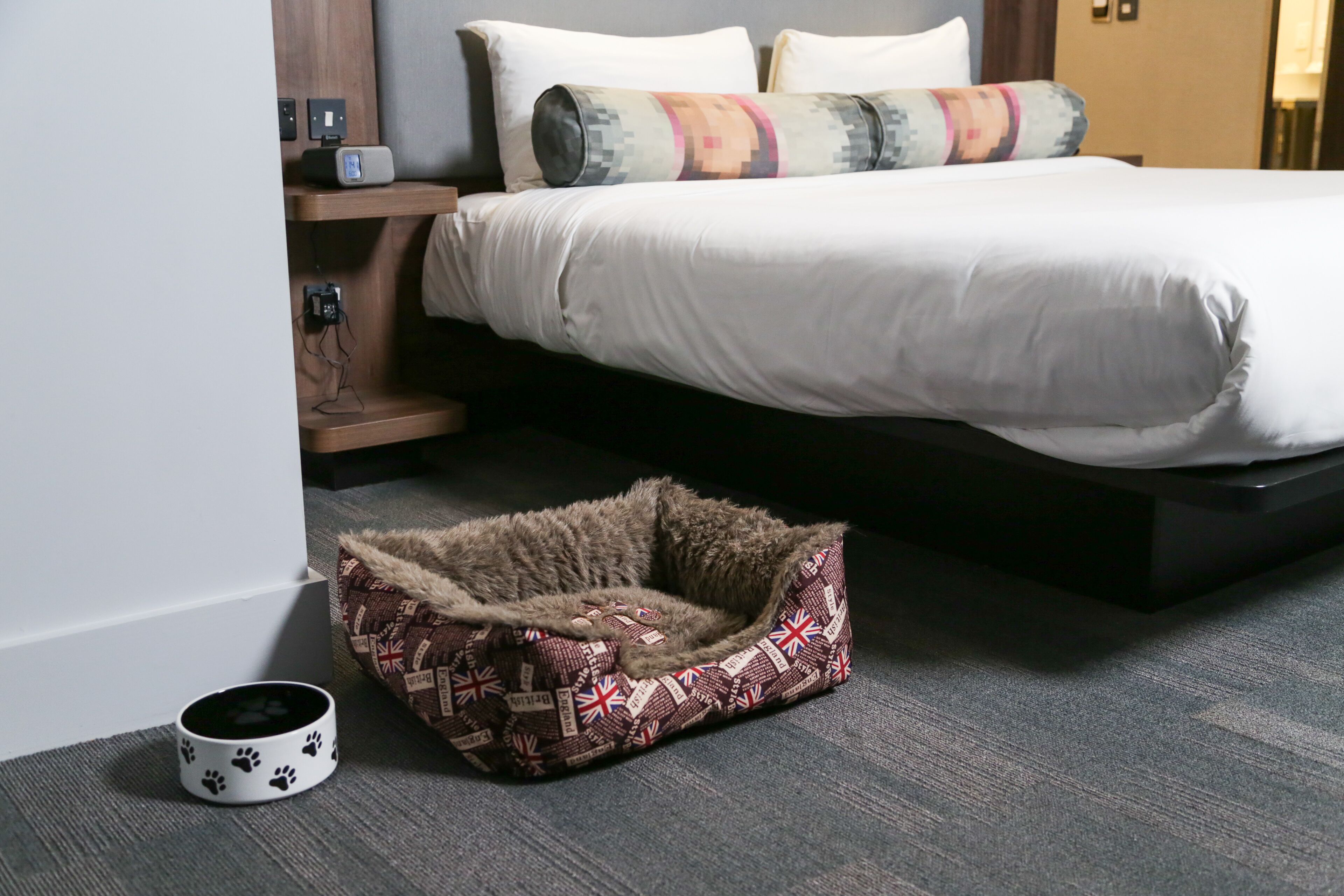 A hotel room with a bed, a bedside table with a lamp, and a pet bed.