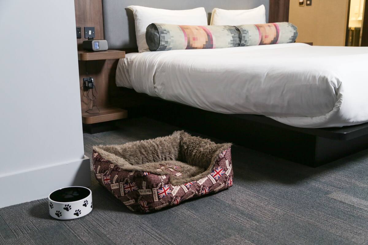 Une chambre d’hôtel avec un lit, une table de chevet avec une lampe et un panier pour animaux de compagnie.