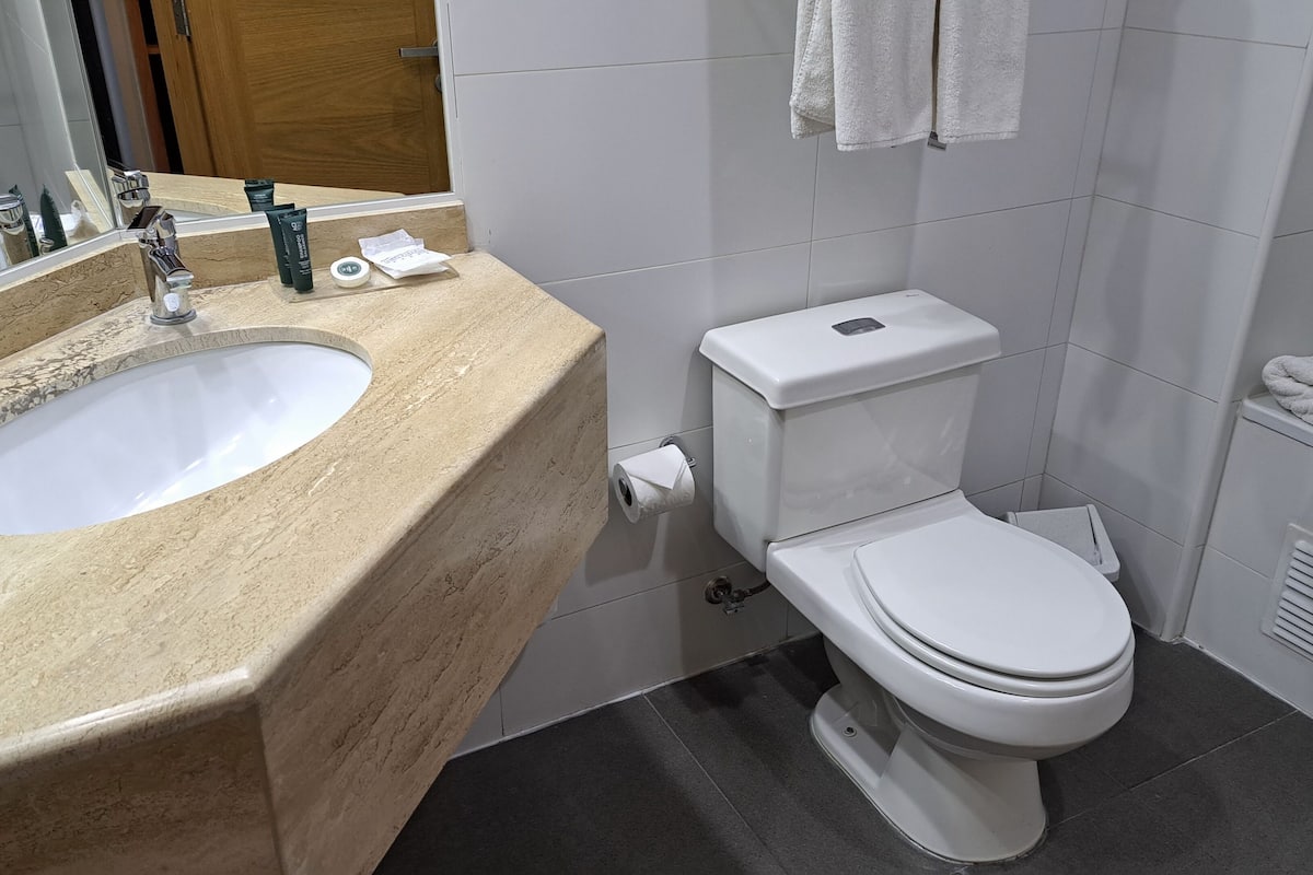 combined shower/bathtub, free toiletries, hair dryer, towels