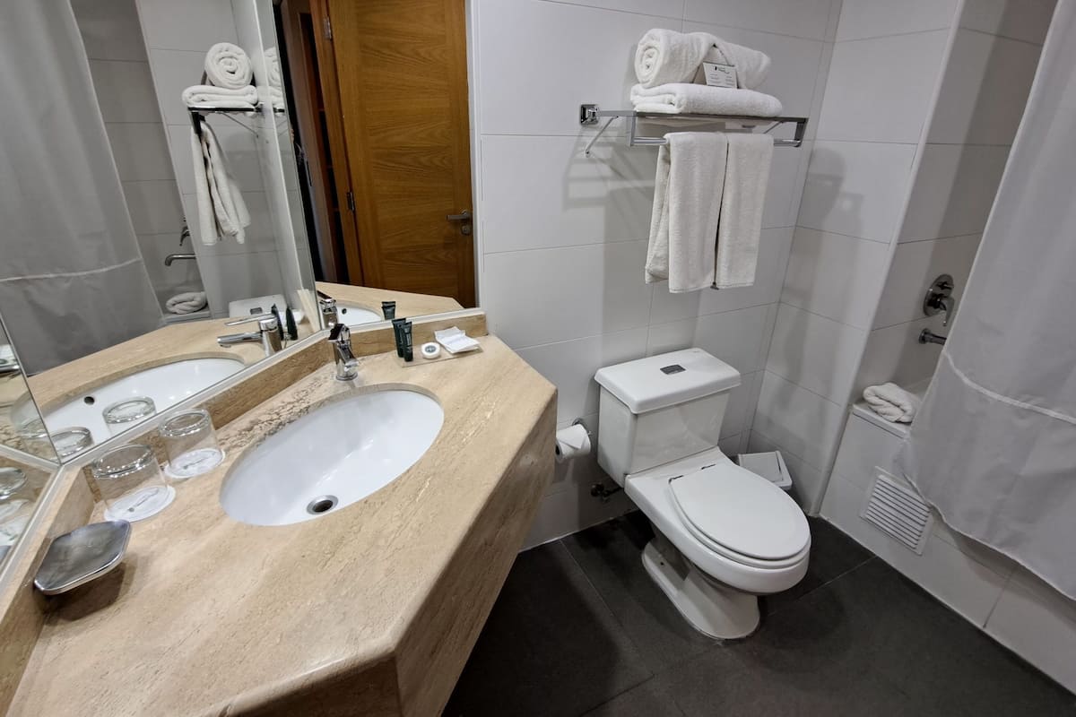 combined shower/bathtub, free toiletries, hair dryer, towels