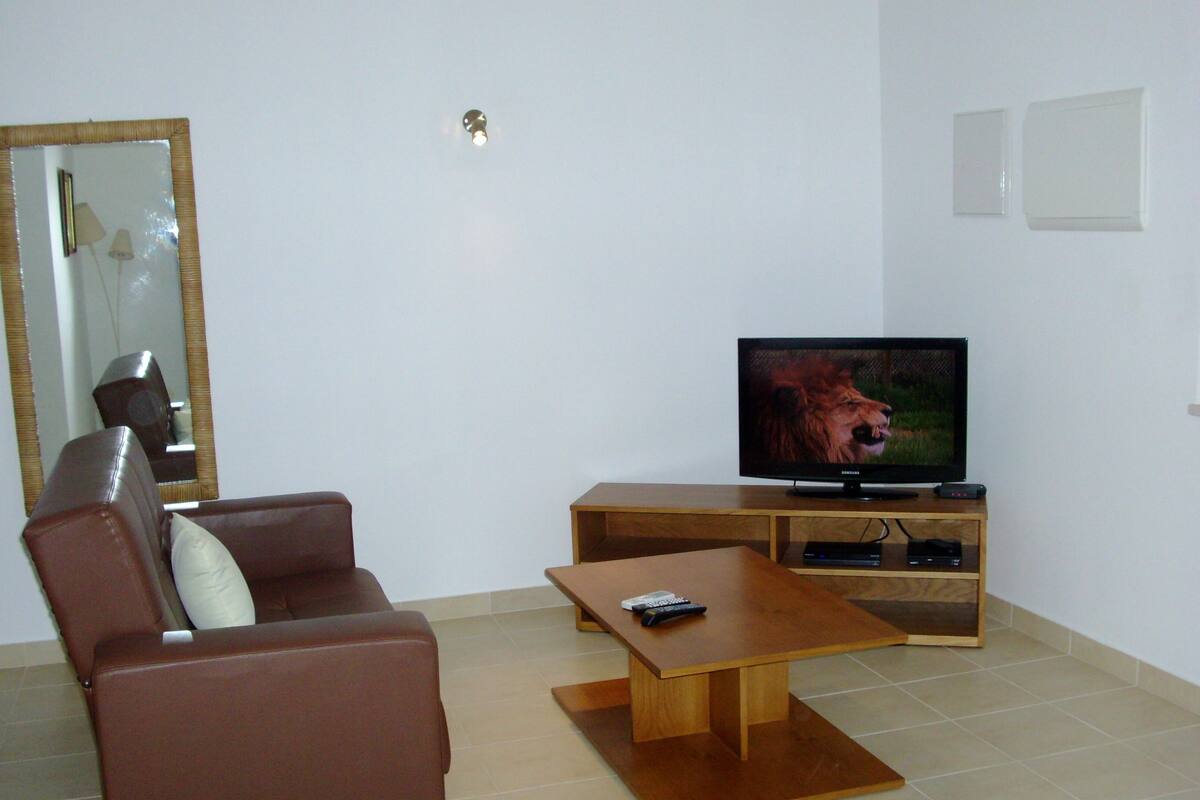 Olohuoneessa on ruskea nahkasohva, puinen sohvapöytä, televisio puujalustalla ja seinällä peili.
