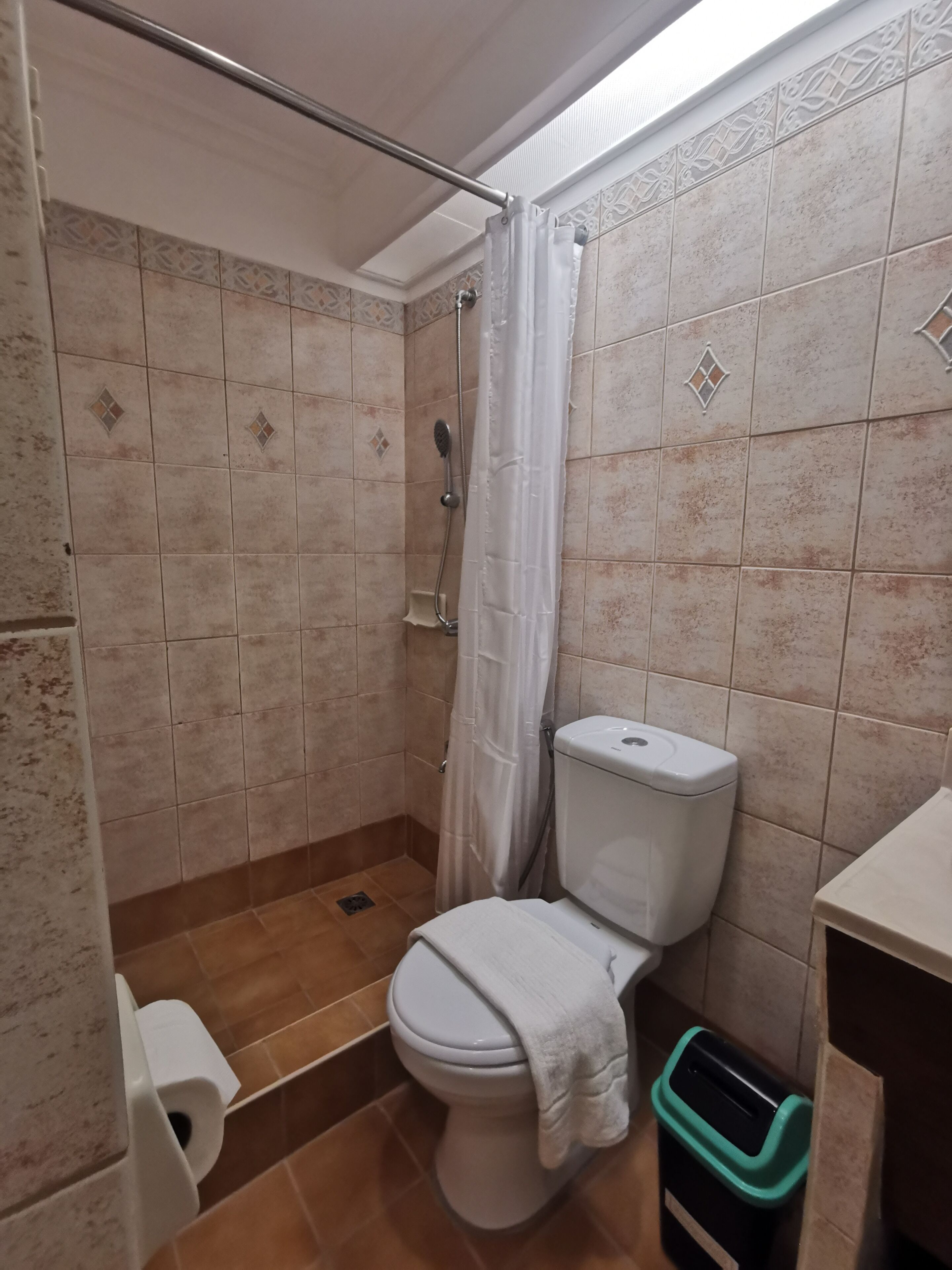 A bathroom with a shower, toilet, and trash bin.