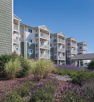 Un edificio residencial de varios pisos con balcones, un paseo cubierto y un jardín ajardinado con flores moradas.