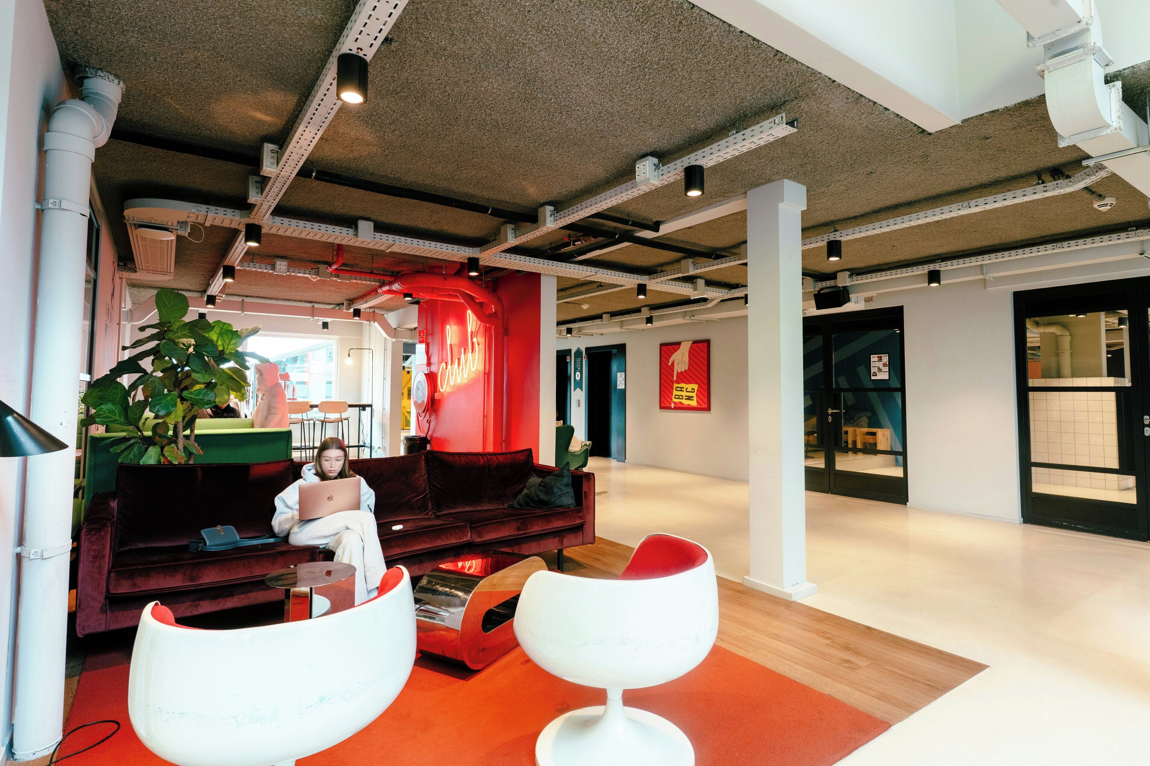 A modern interior with a red sofa, white chairs, and a large plant.