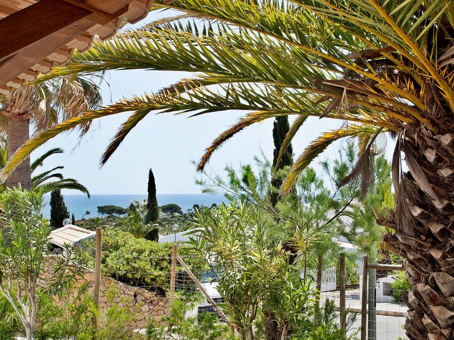 Ein überdachter Außenbereich mit Blick auf das Meer, Palmen und eine Rasenfläche.