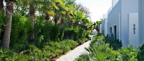 A cobblestone pathway flanked by lush greenery and white buildings with the number 501 visible.
