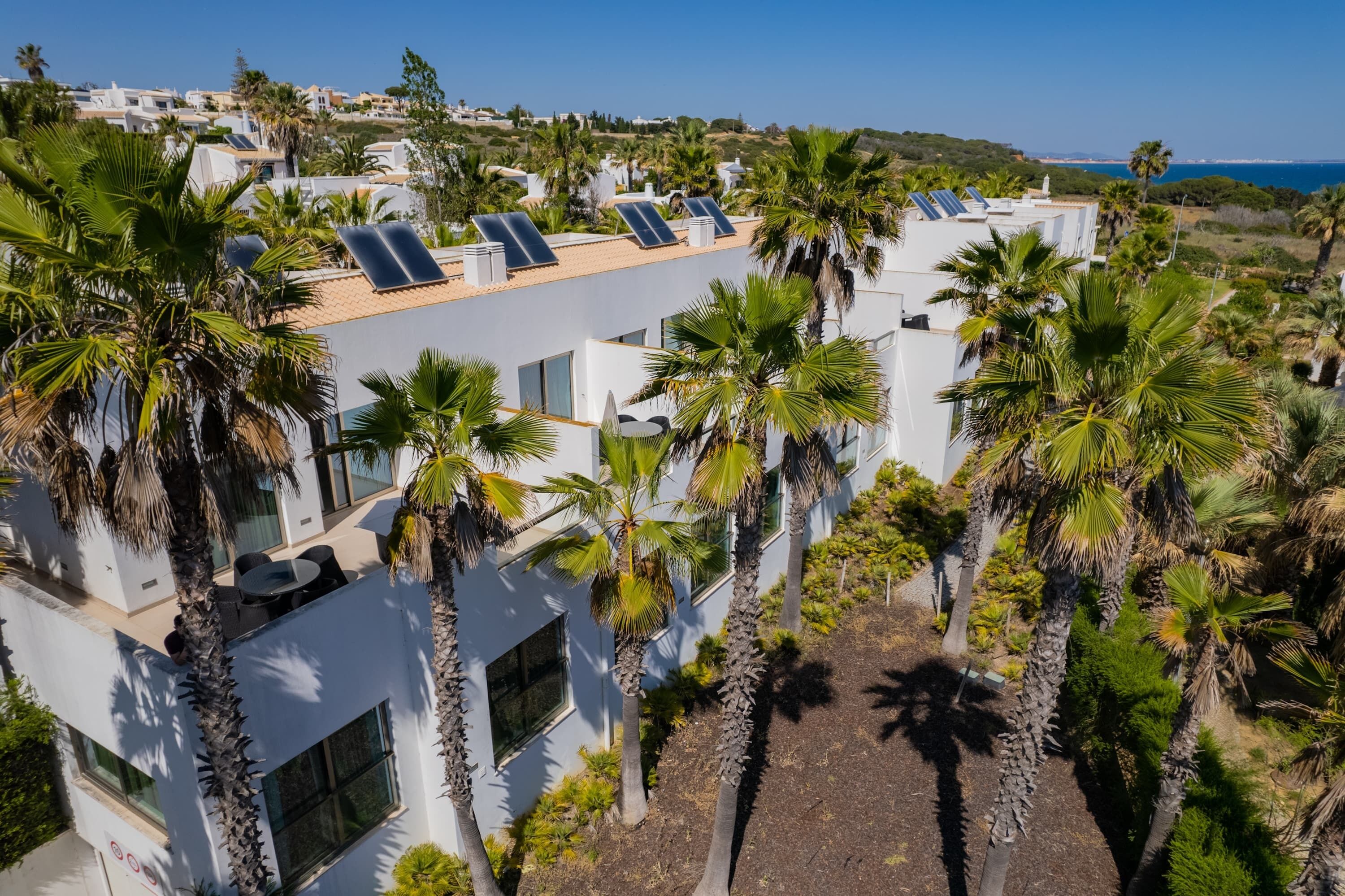 A modern building with multiple floors, solar panels on the roof, and a surrounding palm tree landscape.