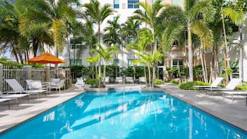 A swimming pool with lounge chairs and palm trees.