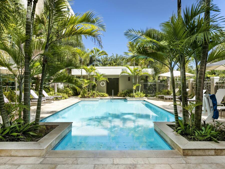 Una piscina rodeada de palmeras y sillas de descanso.